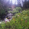 Lower Parika Lake